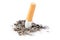 Close-up Tobacco Cigarettes Background or texture