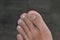 close up toes of asian adults,  at grey background.