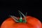 Close-up Of Tomato Against Black Background. Fresh red tomatoes close up black background