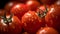 Close up of tomatoes, Generative AI