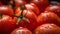Close up of tomatoes, Generative AI