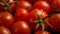 Close up of tomatoes, Generative AI