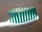 Close up of toothbrush with blue bristles