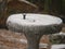 Close up of the top part of a concrete bird bath frozen with ice and snow