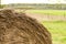 Close-up of the top of a round bale of hay in a grassy field