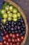 Close up  top view of fresh juicy ripe berries . Colorful assorted mix of green gooseberry, cherries, Amelanchier ovalis  shadbus