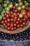 Close up  top view of fresh juicy ripe berries . Colorful assorted mix of green gooseberry, cherries, Amelanchier ovalis and straw