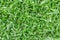 Close up of Top view of lawn  texture background