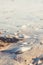 Close up top view of sandy beach with seashells. Sea beach with waves, sunny day in summer