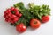 Close up top view shot of a vegetable composition consisting of a bunch of radish, dill, parsley, green onions and ripe red