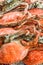 Close up top view steamed crabs in the restaurant for lunch and dinner