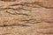 close up top viwe old vintage brown wood back ground.retro wood has abstract patterned  surface through the use of time