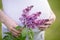 Close-up of torso of pregnant woman holding lilac flower outside