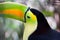 Close up of Toucan Eye