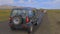 CLOSE UP: Tourist in a green SUV stops on the road blocked by wild cattle.