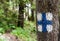 Close-up  of  tourist markings painted on trees , in forest