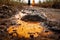 close-up of toxic spill, with droplets creeping across the ground