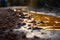 close-up of toxic spill, with droplets creeping across the ground