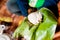 Close up of traditional african manioc foufou on plantain leaf held by woman