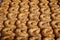 Close up of traditional oriental sweet pastry cookies known as backlava, Turkish desert with sugar, honey, walnuts and pistachio,