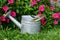 Close up of a traditional watering can