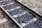 Close up of train or railroad tracks with cement backing In the countryside