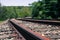 Close Up of Train Tracks Railing in the Woods