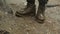 Close-up of traveler in boots standing on ground. Stock footage. Hiking boots can withstand extreme wet and muddy walk