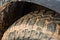 Close up of tread tire 4x4 off road, Texture of dirty wheel pick