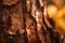 a close up of a tree trunk with a bunch of bananas in the background