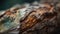 a close up of a tree trunk with green and yellow paint on it\\\'s bark and a blurry background of trees in the background