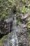 Close up of a trickling section of Wailua Falls running down volcanic rock which is covered with moss, ferns and plants