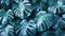 Close-up of tropical leaves with cold colors. Aesthetic and refreshing leaves background. Fresh blue monstera plant wallpaper. AI-