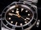 Close up of Tudor Stainless Steel classic Dive watch