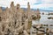 Close-up of tufa columns at Mono Lake