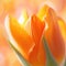 A close up of a tulip flower, AI