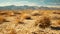 Close-up of a tumbleweed in the desert with mountains in the background