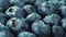 Close up Turntable Shot of a Pile of Blueberries