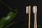 Close up of two bamboo toothbrushes and green leaf on a dark background. Dental care and zero waste concept.