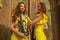 Close up of two beautiful twin sisters violinists in yellow concert dresses are posing with electric violins near ancient wooden