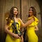 Close up of two beautiful twin sisters violinists in yellow concert dresses are posing with electric violins near ancient wooden