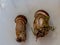 Close up of two boletus mushroom