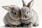 Close up of two cute little rabbits, hugging each other. Generative AI