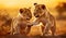 Close up of two cute playful lion cubs