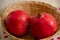 Close Up of two delicious pomegranates