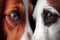 close-up of two dogs' faces, their eyes and noses just inches from each other