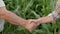 Close Up Of Two Farmers Businessmen Shaking Hands Background Of Rural Corn Field