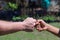 Close-up of two fists of woman and man bumping together in a garden. Concept of teamwork