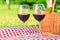 close-up two glasses of wine on a picnic, on a checkered tablecloth on a lawn
