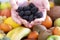 Close up of two hands of a person holding a group of fresh blackberries. Background with an assortment of freshly picked fresh